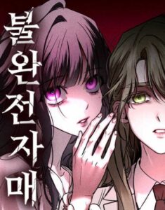 불완전 자매