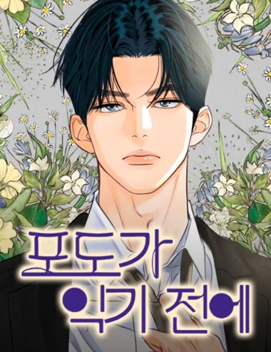 포도가 익기 전에