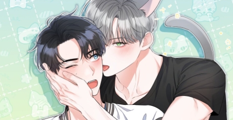 그 고양이 말고 이 고양이